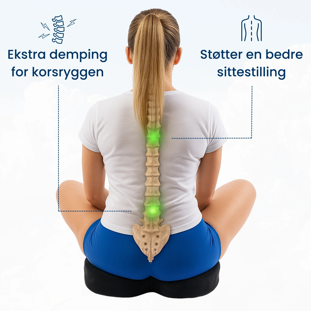 Din Holdning - Ergonomisk Sittepute